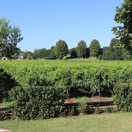 فندق مبيت وإفطار El Canfin *