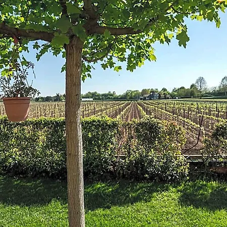El Canfin Bed & Breakfast Montebello Vicentino